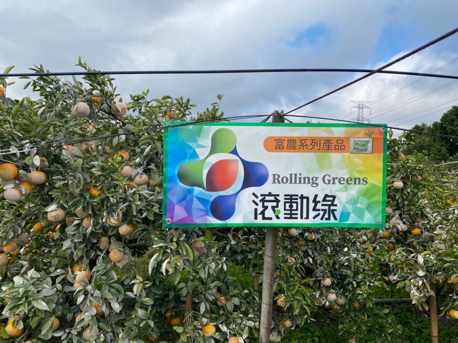 ALL_fac_25K20_2TALK8hU7K