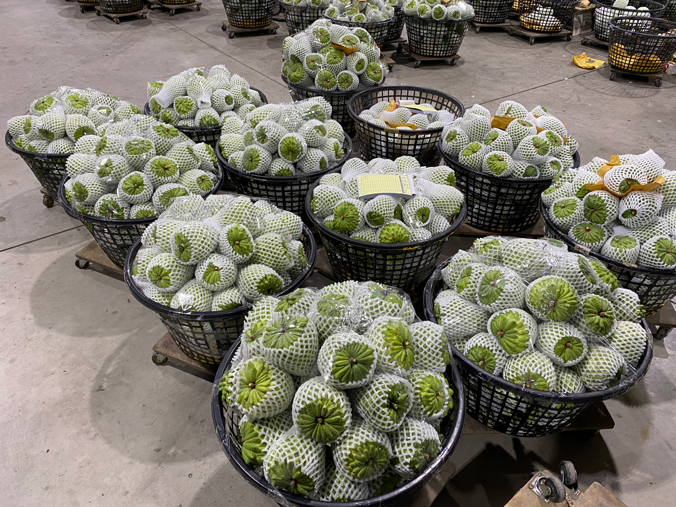 ALL_fac_25K21_I1wAH3B2F4 ALL_fac_25K21_I1wAH3B2F4