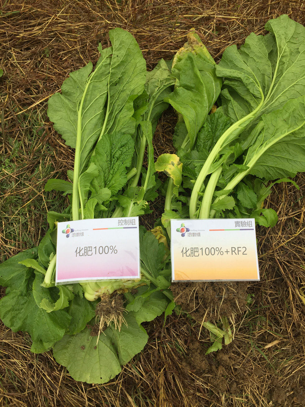 ALL_fac_25K24_CvXeuePkv2