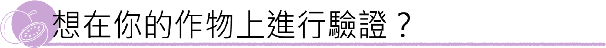 2000x670 2000x670