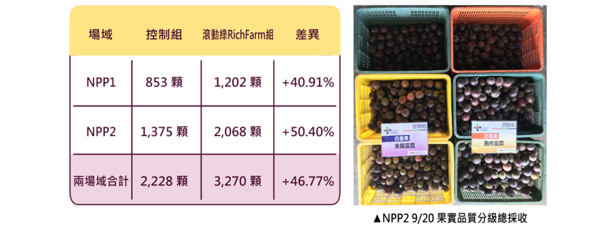 1500x750 1500x750