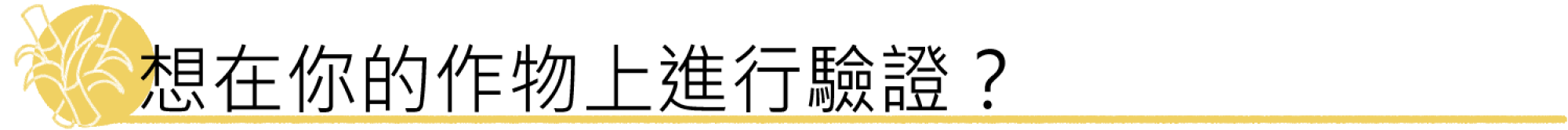 2000x670 2000x670