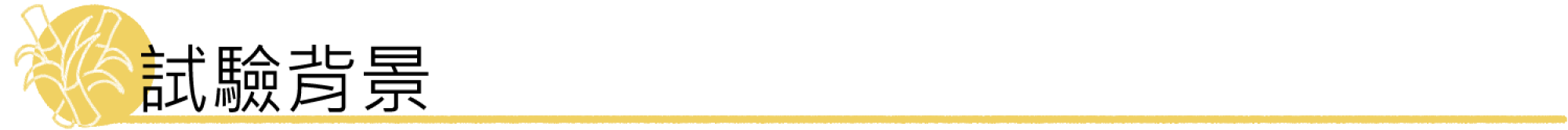 2000x670 2000x670