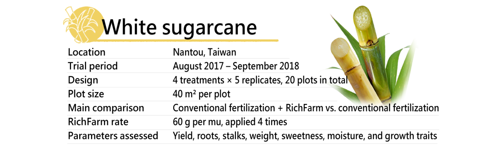 1500x750