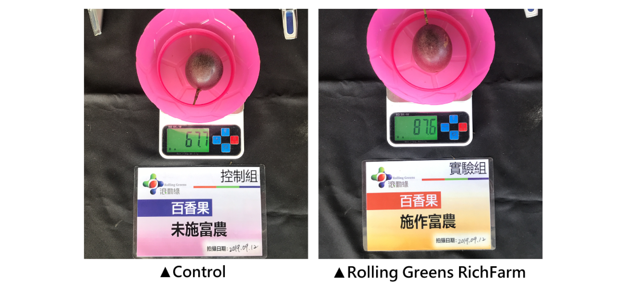 1500x750 1500x750