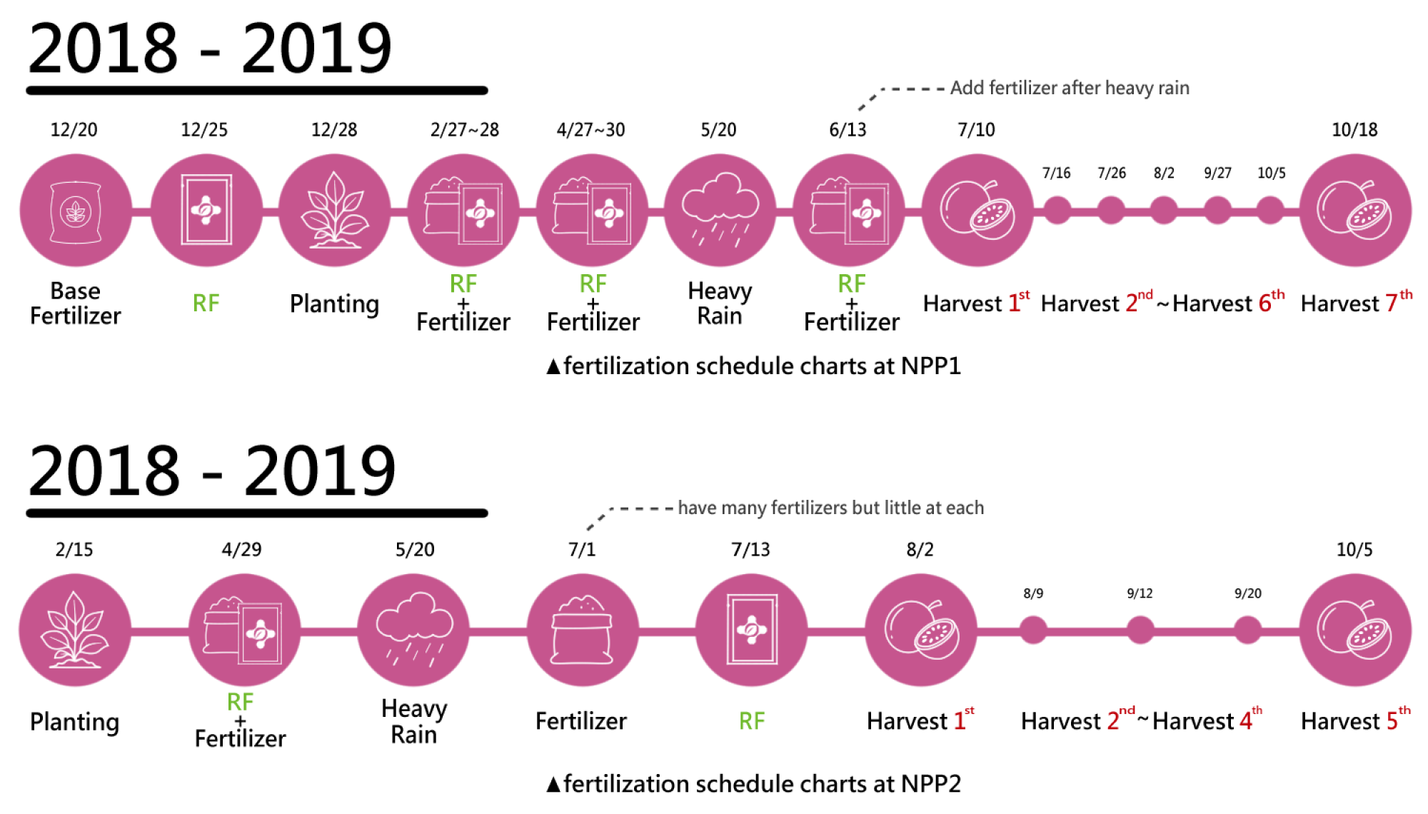 2000x670 2000x670