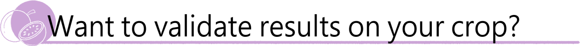 2000x670 2000x670