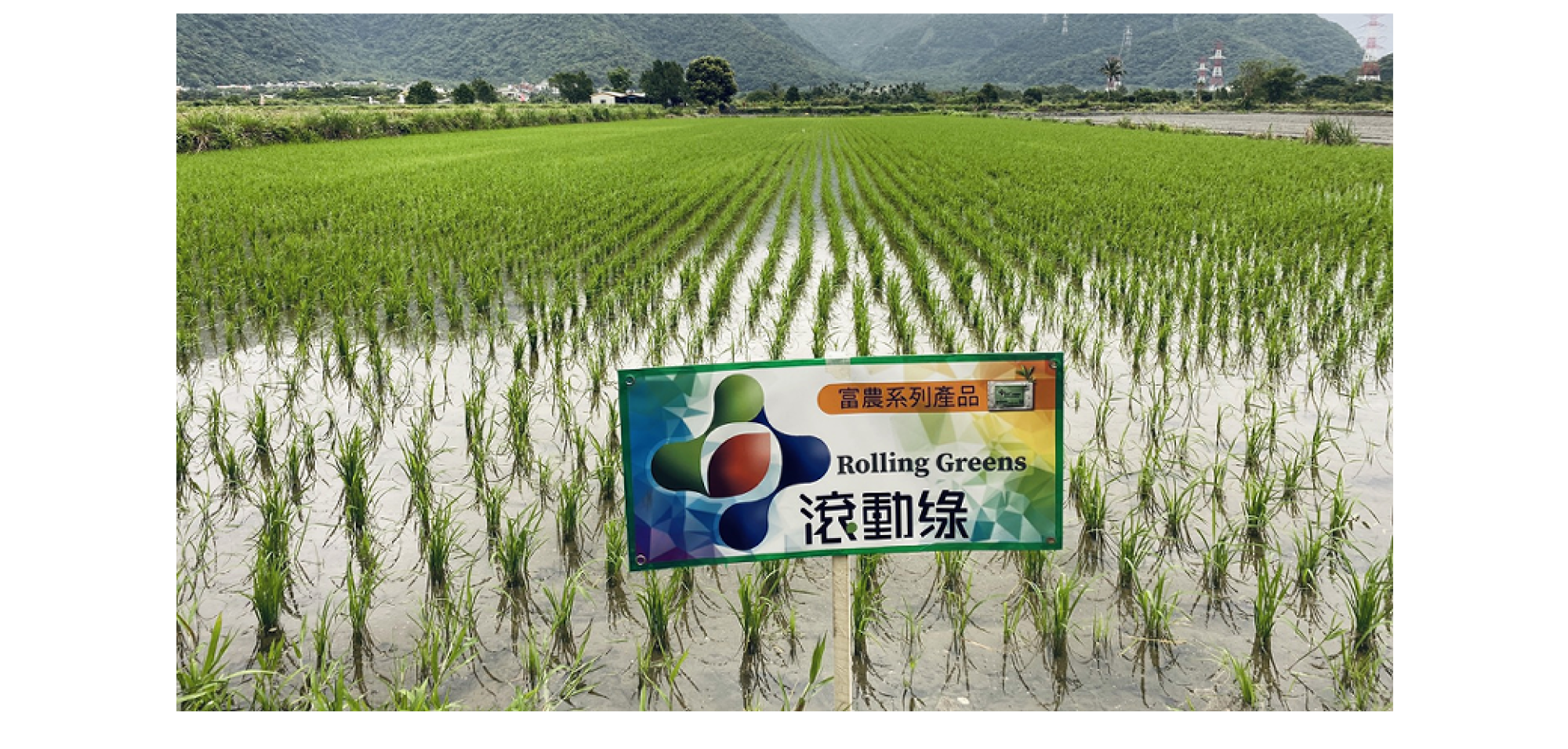 1500x750 1500x750