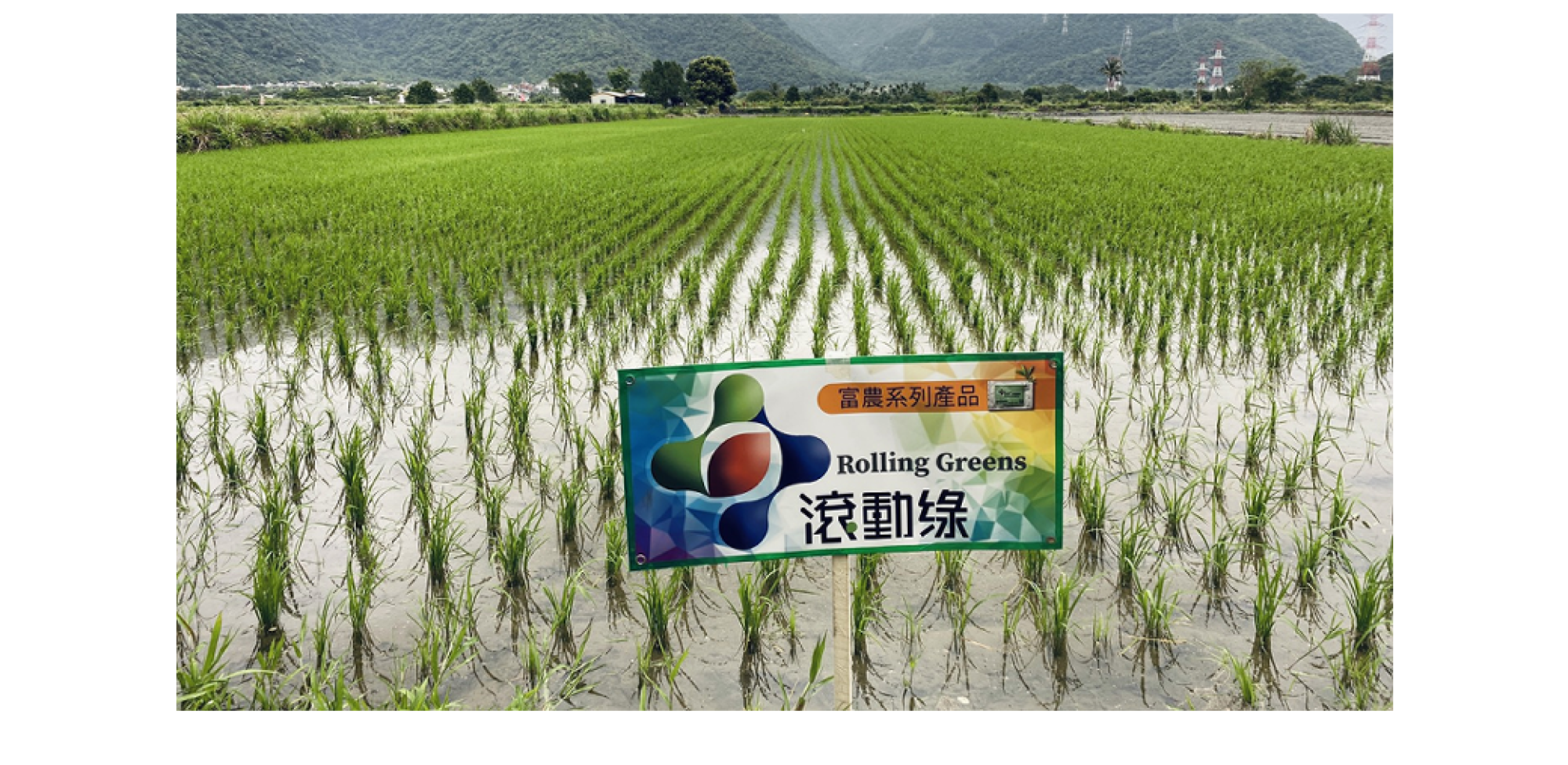 1500x750 1500x750