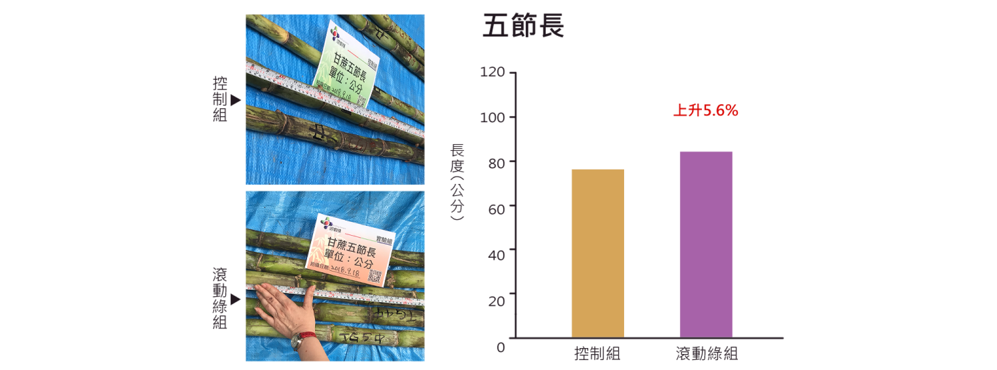 1500x750 1500x750