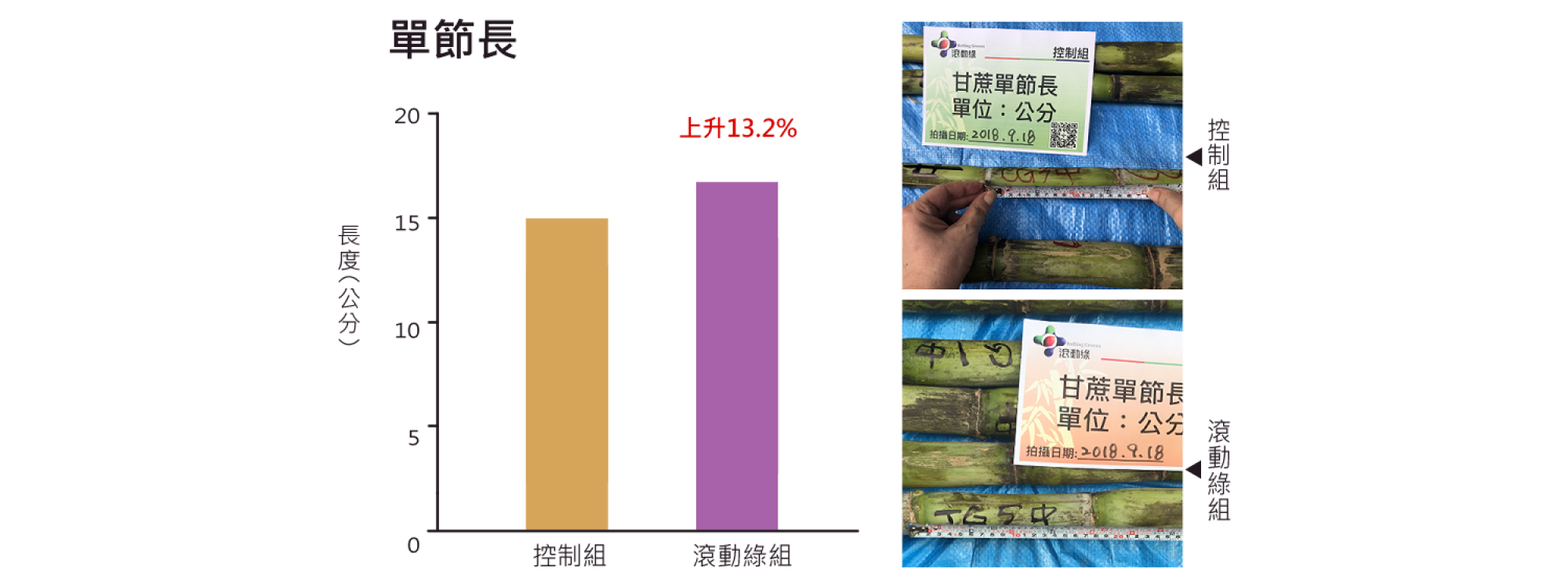 1500x750 1500x750