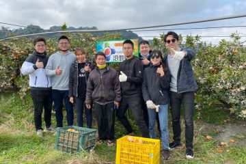 阿珠姐的茂谷柑轉型之路