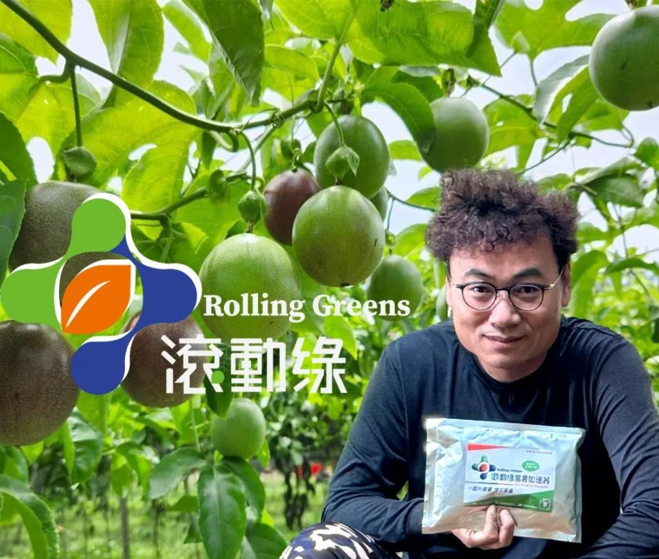 From Theory to Practice — Yuan's Scholar-Farmer Spirit