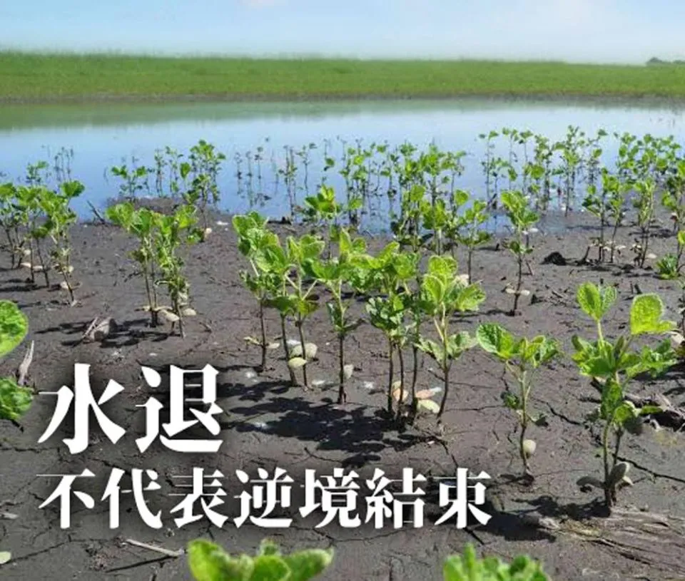 水退,不代表逆境結束