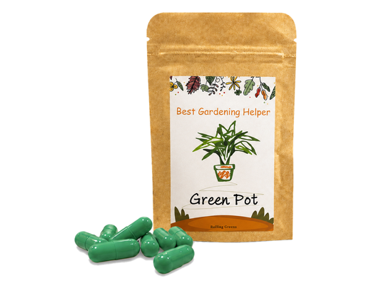 Green Pot