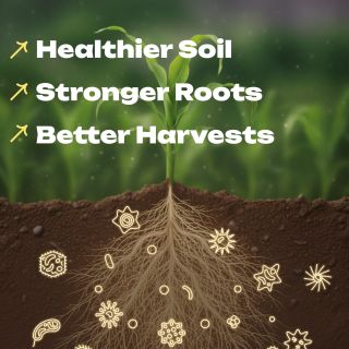 ALL_product_26G09_OOBQFg6fE5